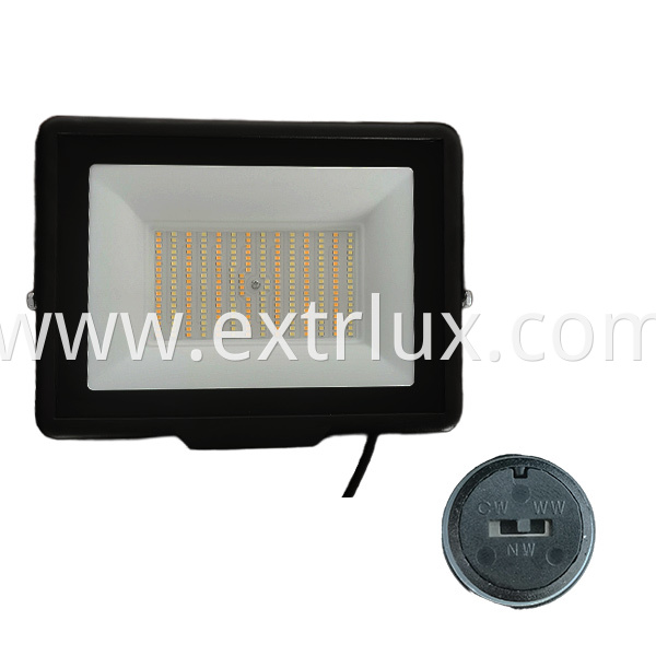 Dial Flood Light 100W
